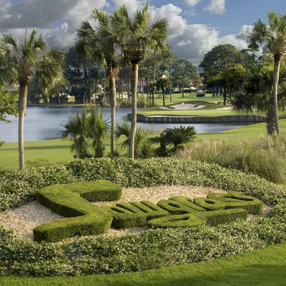 Meet your Posher, Sports Fan - Picture 1 of 3